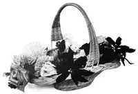 Practical Basketry by Anna A. Gill