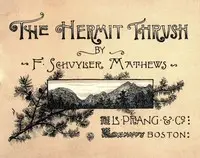 The hermit thrush by F. Schuyler (Ferdinand Schuyler) Mathews