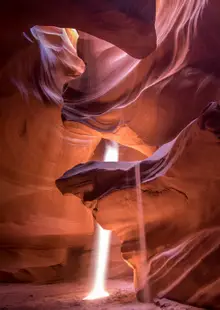 Portrait of Robert Hare