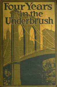 Four Years in the Underbrush: Adventures as a Working Woman in New York by Anonymous