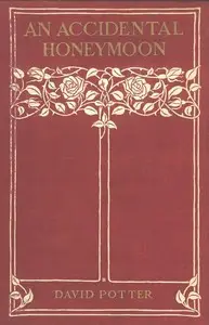An Accidental Honeymoon by Edward Barron