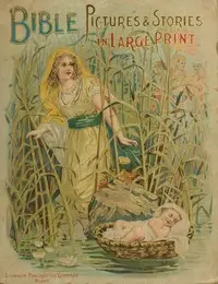 Bible pictures and stories in large print by Anonymous