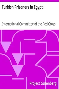 Turkish Prisoners in Egypt
A Report by the Delegates of the International Committee of the Red Cross by International Committee of the Red Cross