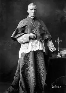 Portrait of James Gibbons