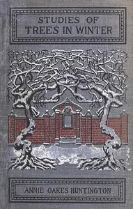 Studies of trees in winter : $b A description of the deciduous trees of northeastern America by Annie Oakes Huntington