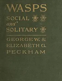 Wasps, Social and Solitary by George W. (George Williams) Peckham