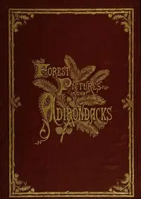 Forest Pictures in the Adirondacks by Alfred Billings Street