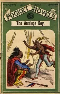 The Antelope Boy; or, Smoholler the Medicine Man
A Tale of Indian Adventure and Mystery by George L. Aiken