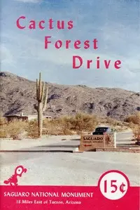 Cactus Forest Drive, Saguaro National Monument by Anonymous